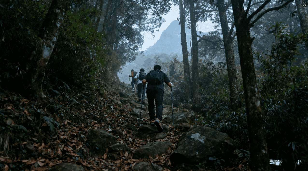 加速器下载利器：轻松安装西柚加速器方案